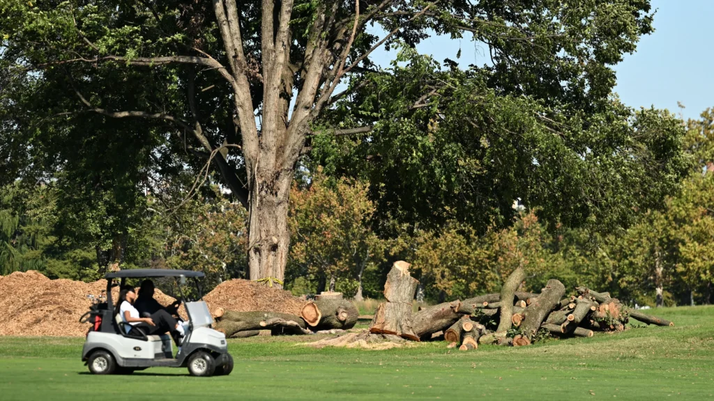 Httpsstatic01 nyt comimages20261026multimedia00dc golf mjgw00dc golf mjgw videosixteenbynine3000